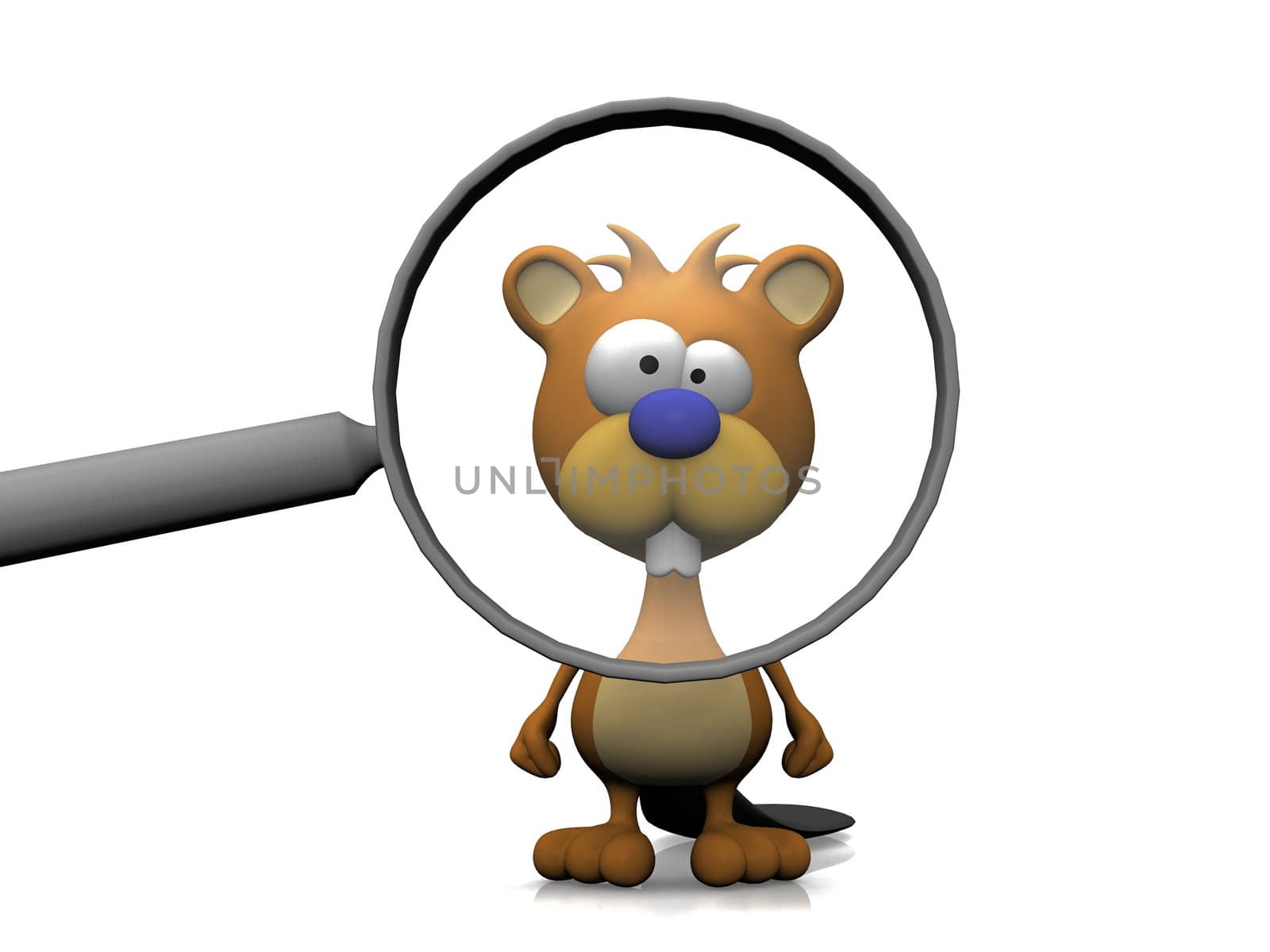 beaver and the magnifying glass
