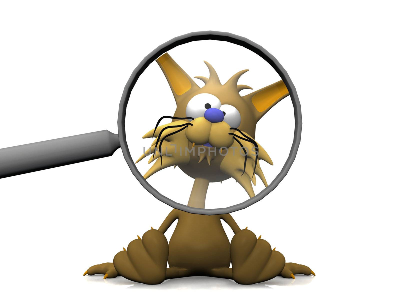 cat and the magnifying glass
