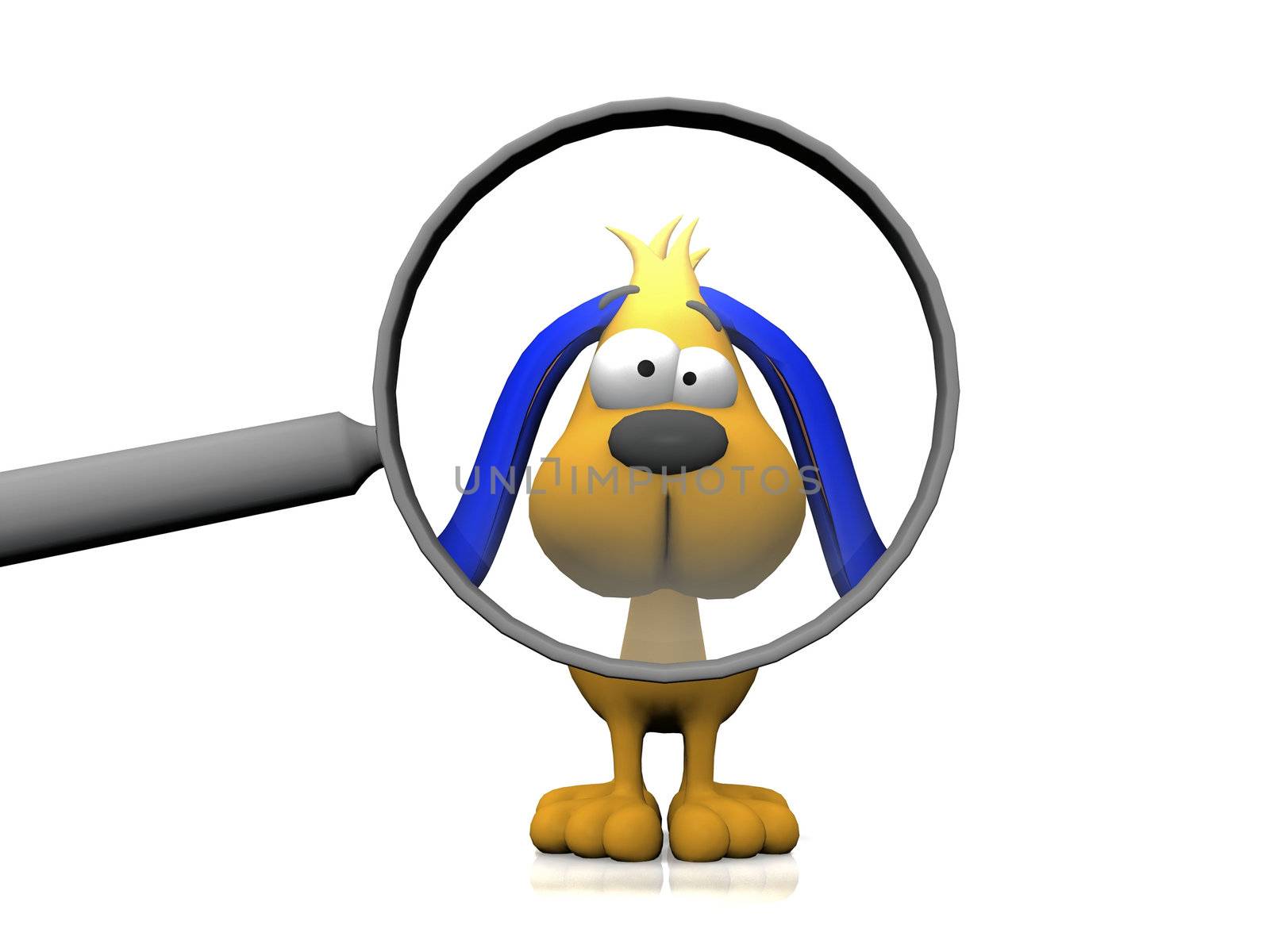 dog and the magnifying glass
