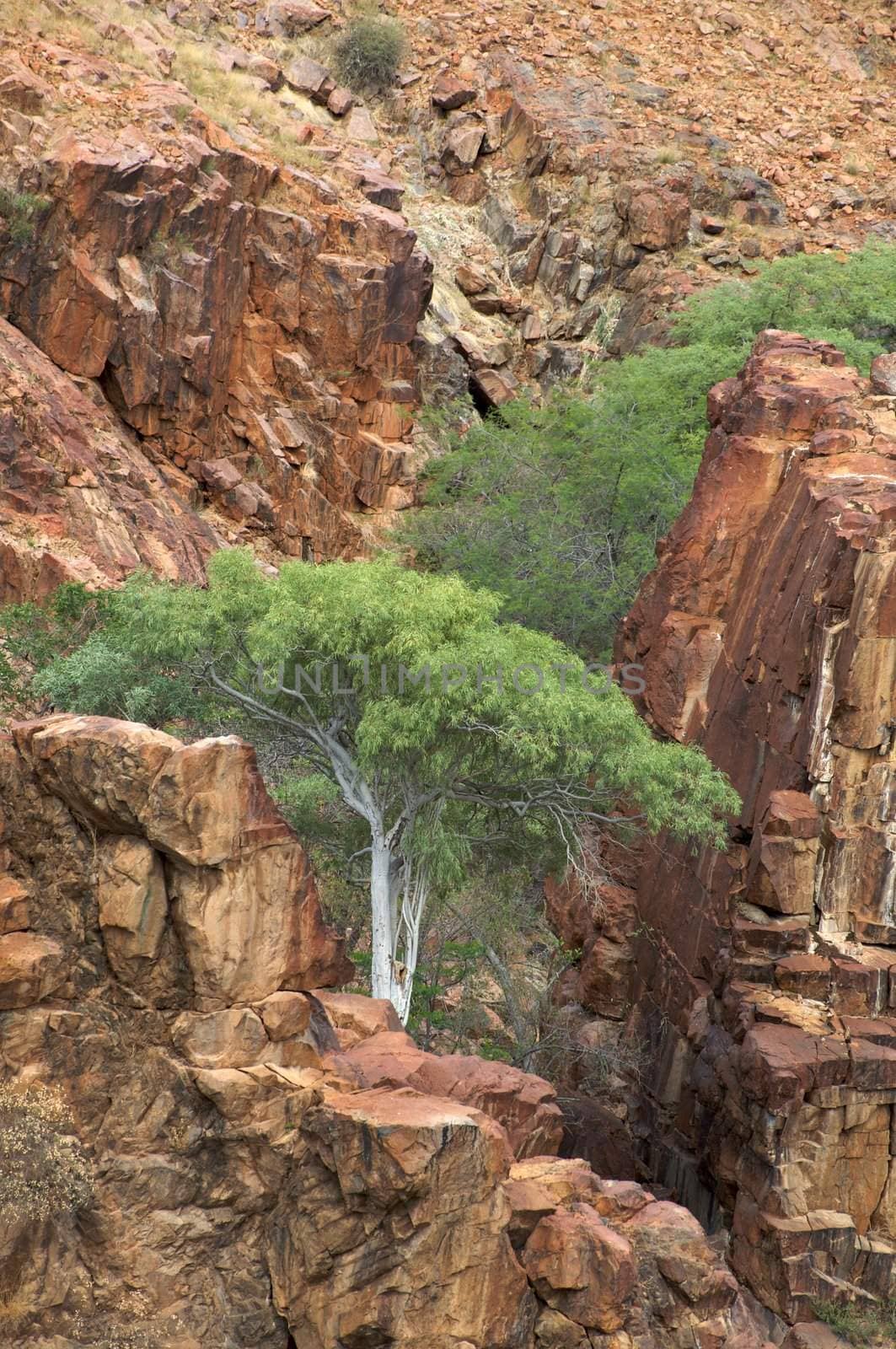 The Epupa Falls lie on the Kunene River, on the border of Angola and Namibia