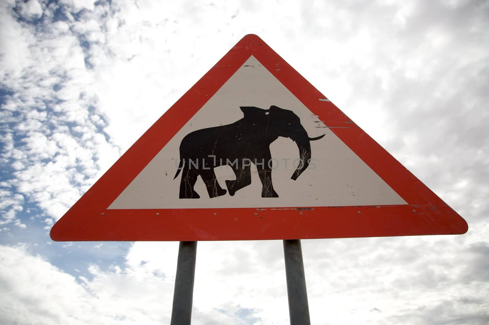 Sign road warning that elephants could cross the road in Namibia