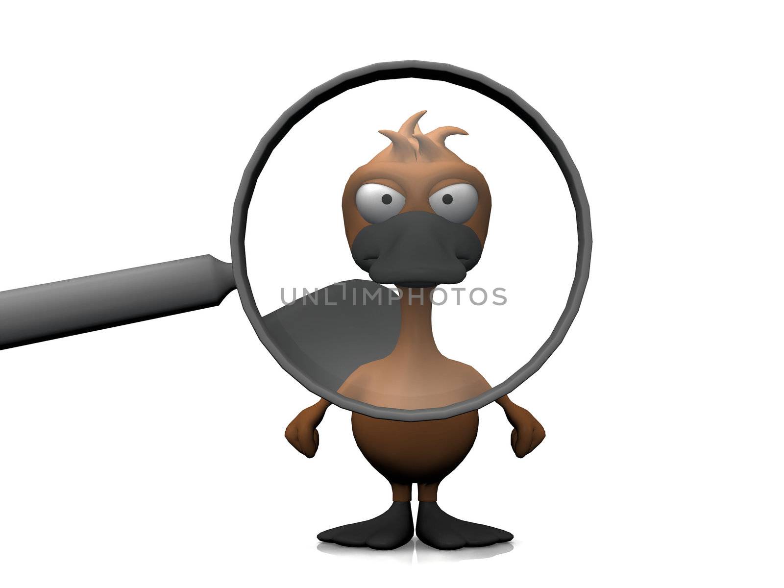platypus and the magnifying glass
