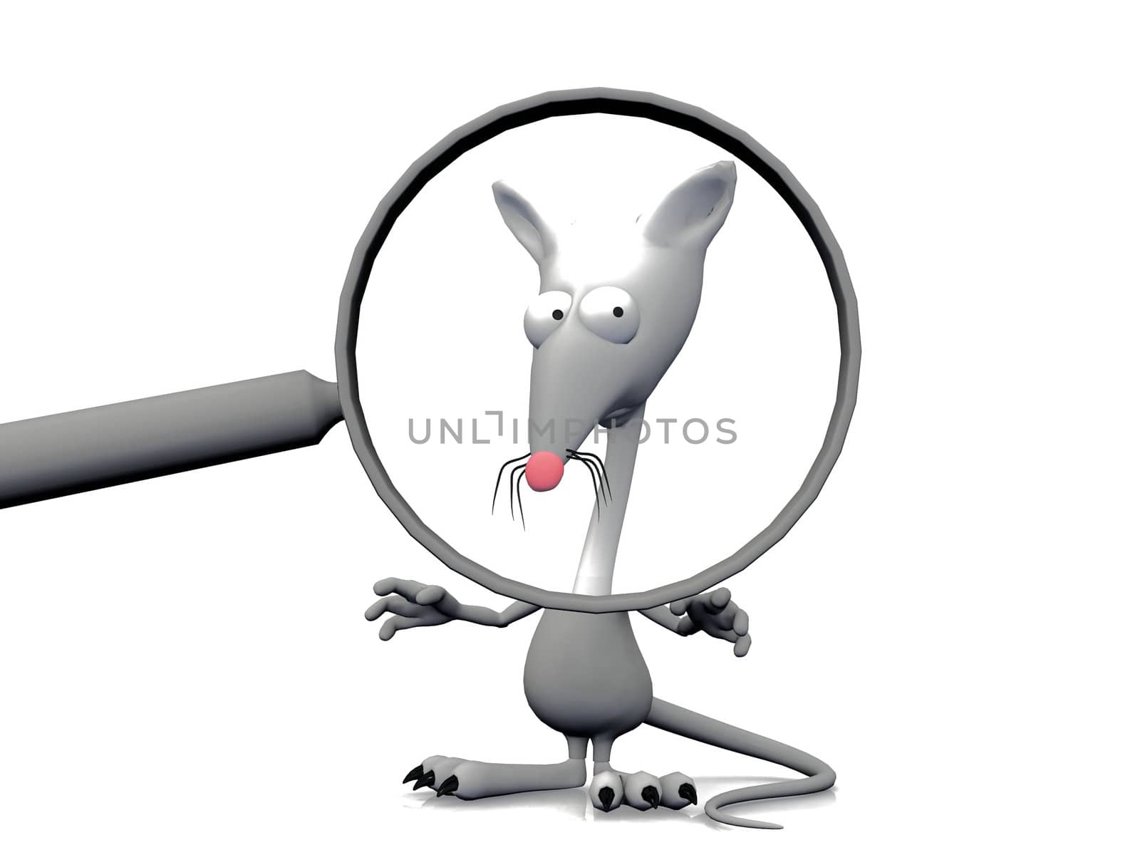 rat and the magnifying glass
