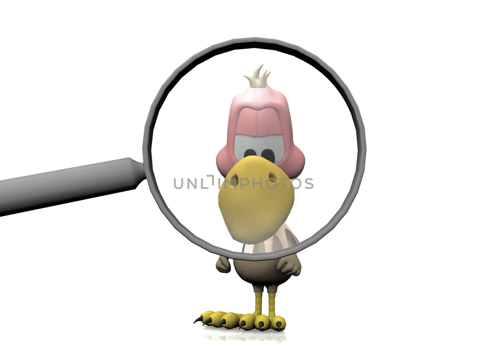 vulture and the magnifying glass
