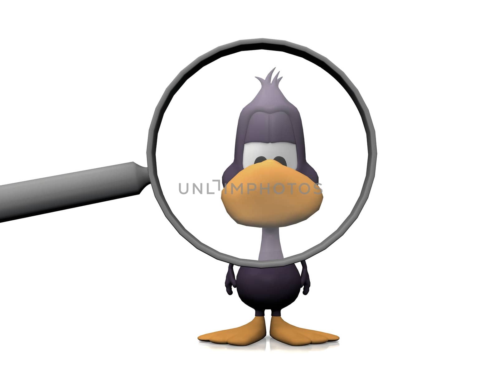 duck and the magnifying glass
