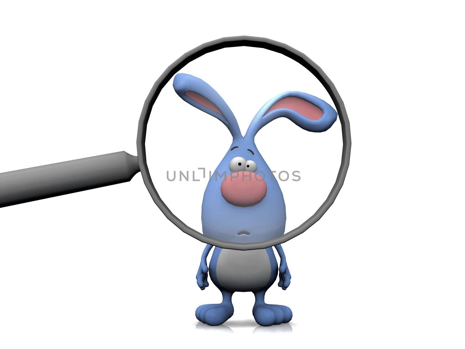 rabbit  and the magnifying glass
