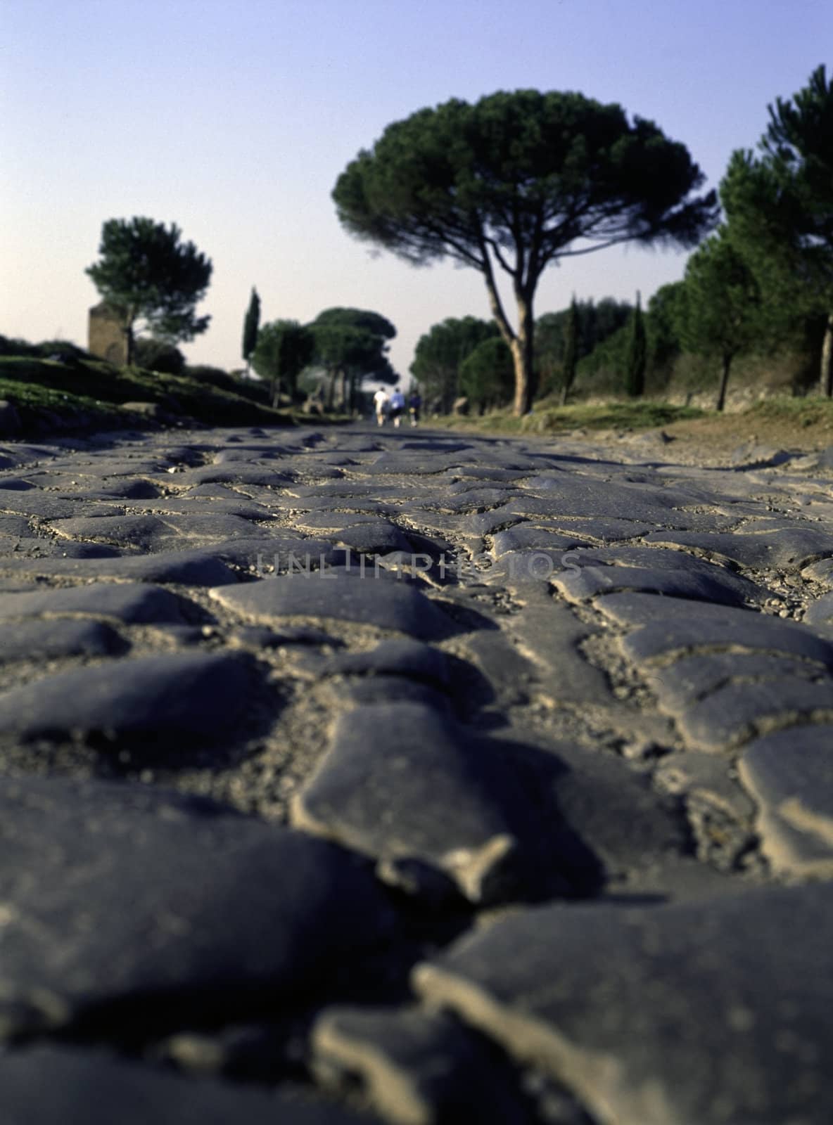 Appian Way, Rome by jol66