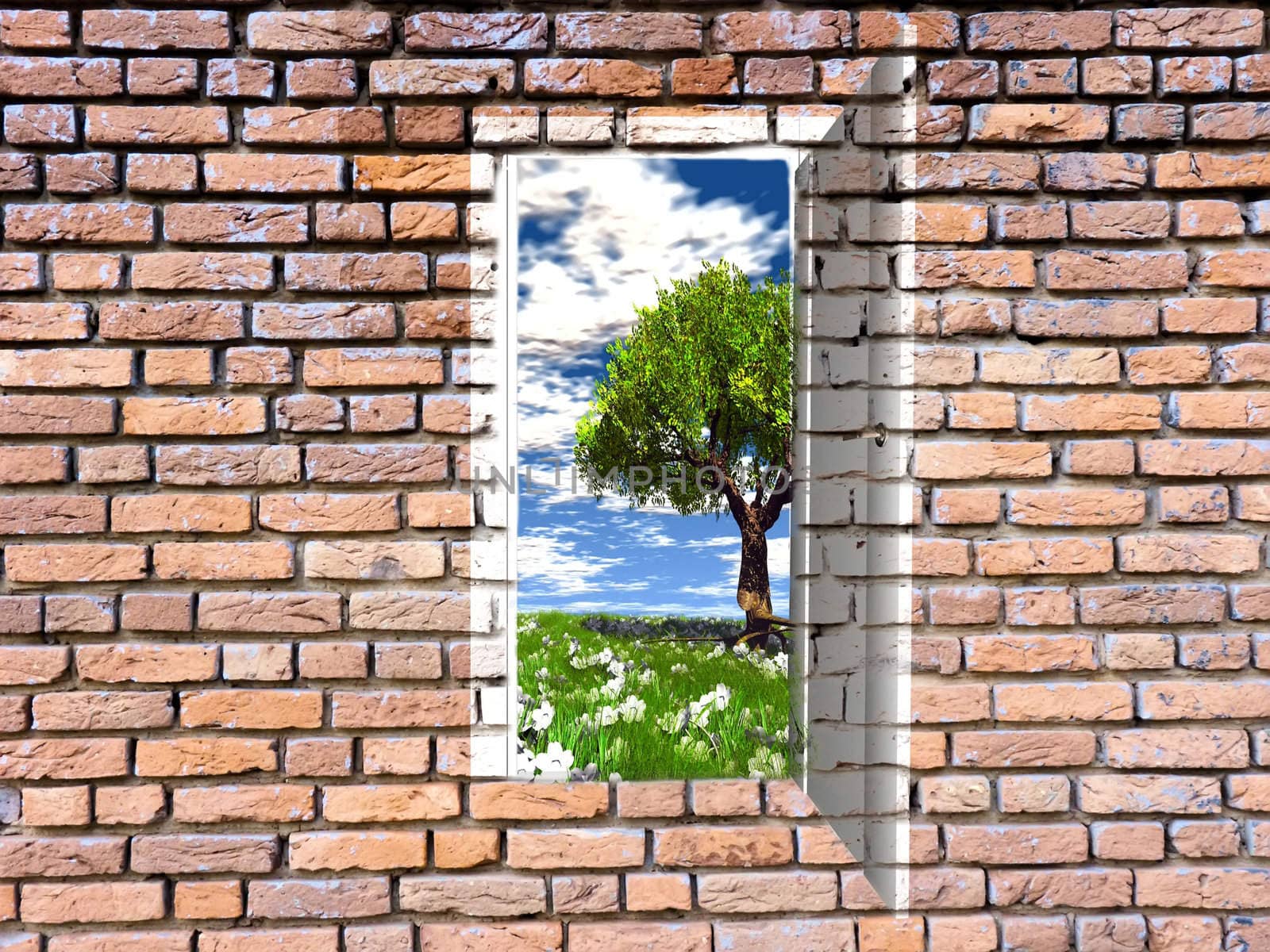 the door in the brick wall