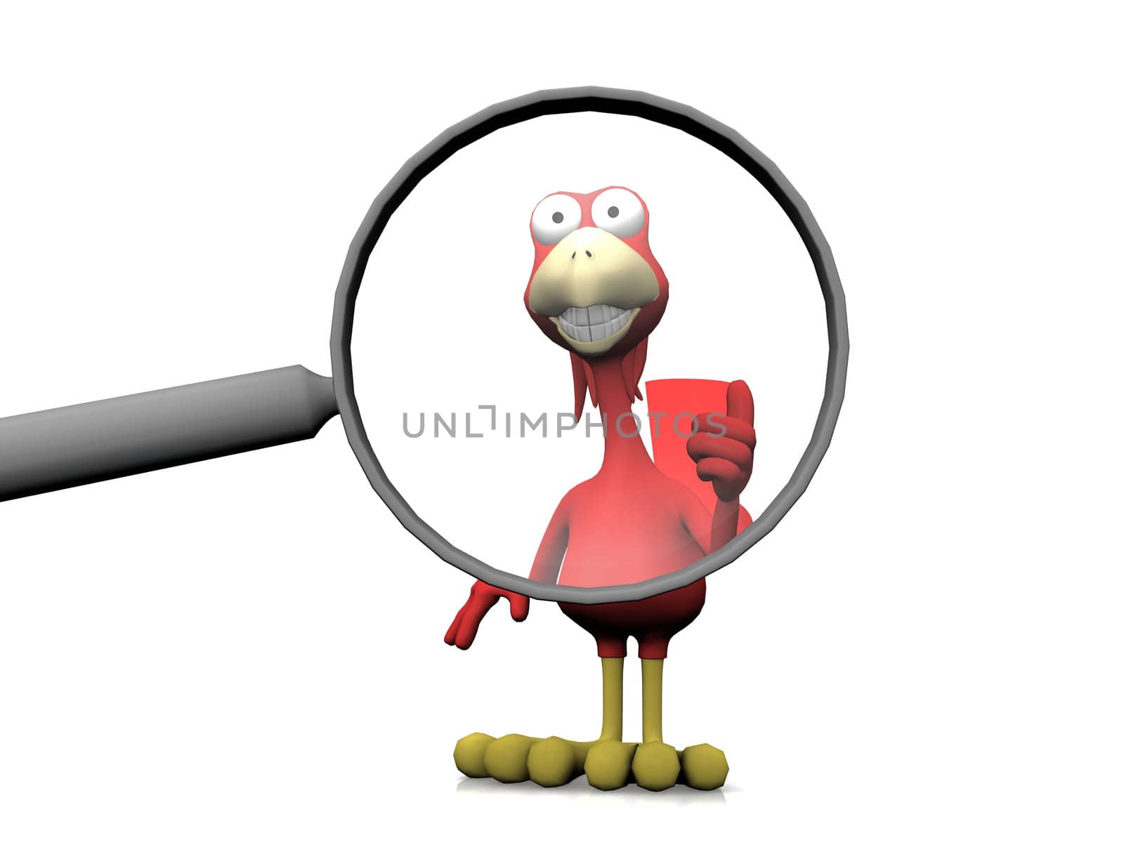 bird and the magnifying glass
