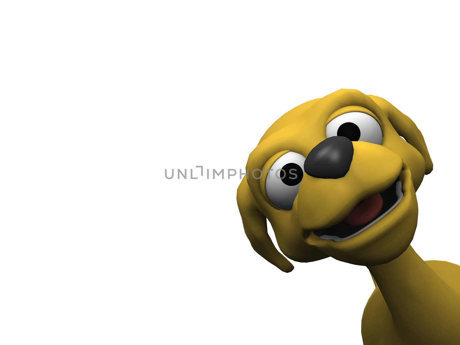 dog on a white background
