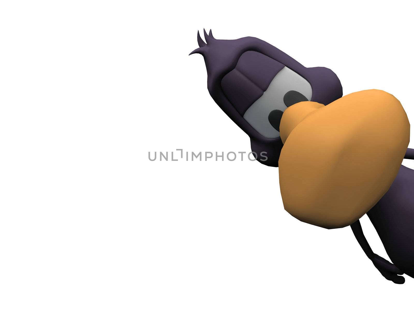 duck on a white background
