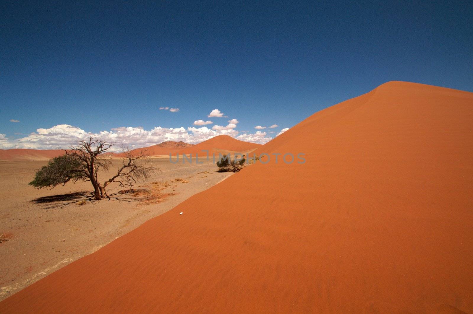 Dune sea of the Namib desert during a hot day
