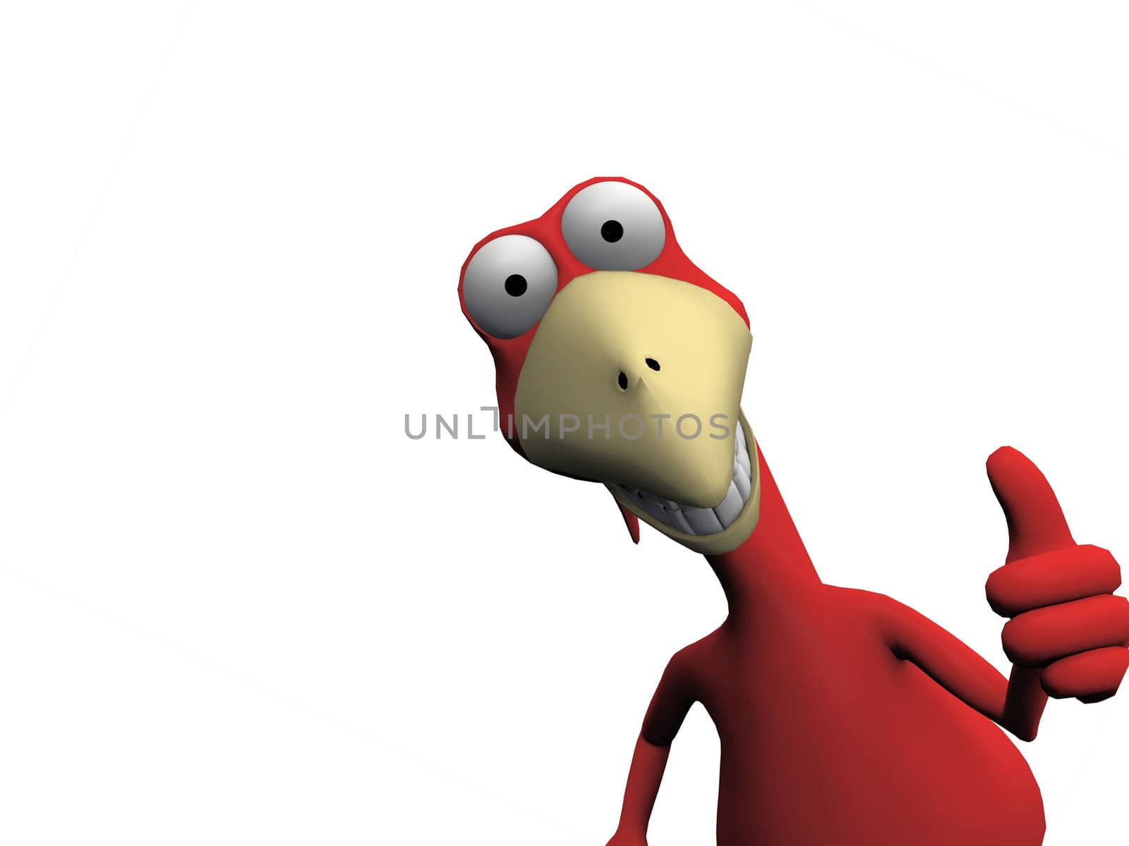 bird on a white background
