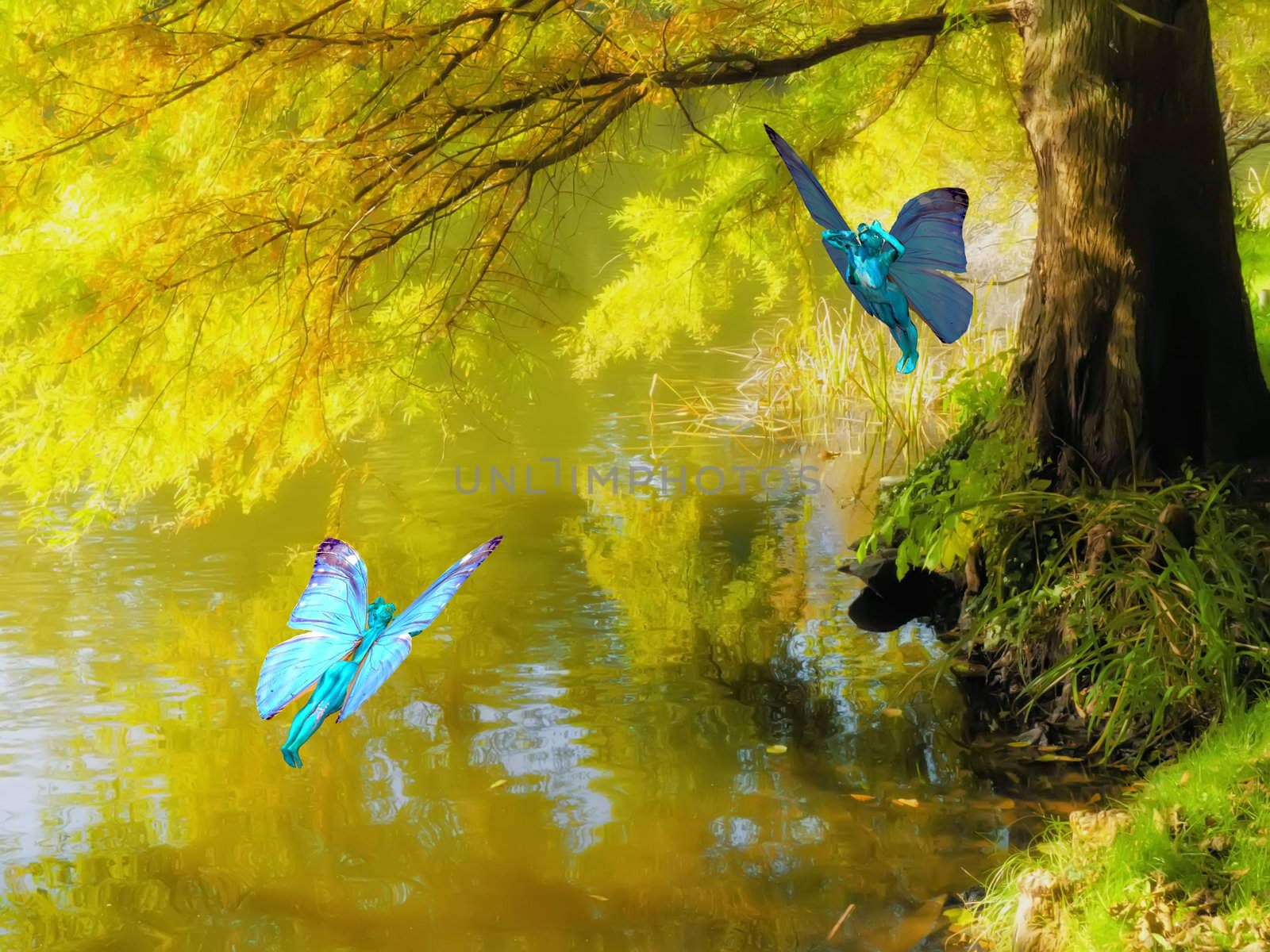 enchanted landscape and fairies