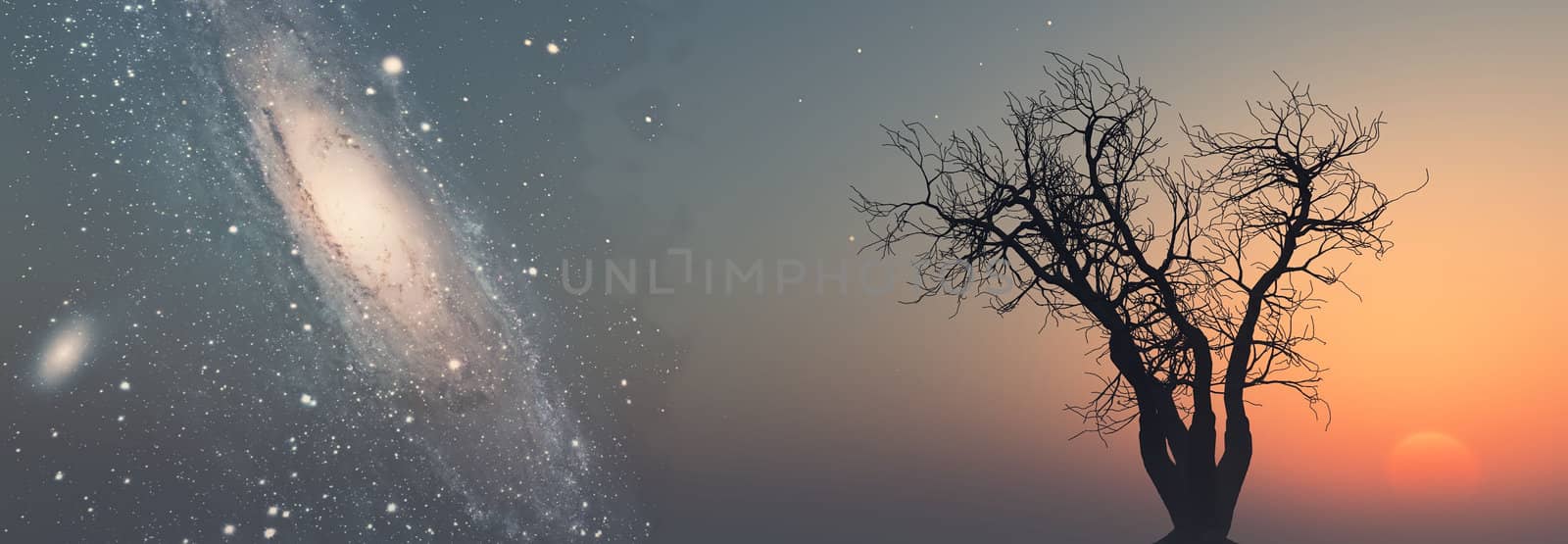 dead tree against a background of Milky Way by njaj