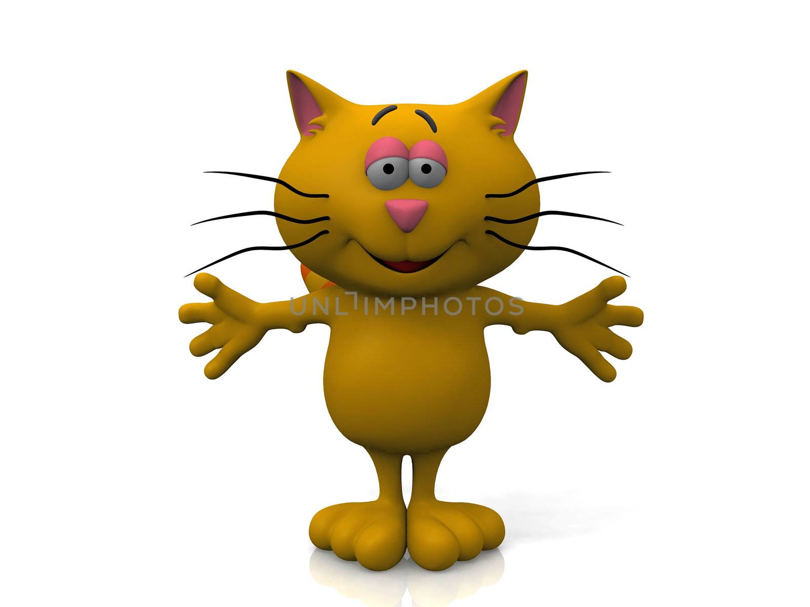 cat on a white background
