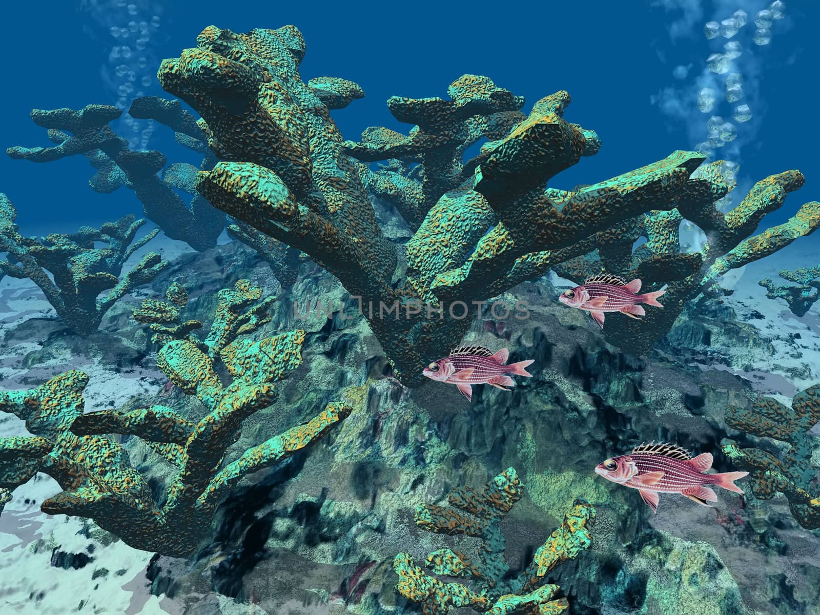 coral  and fish at the bottom of  the sea