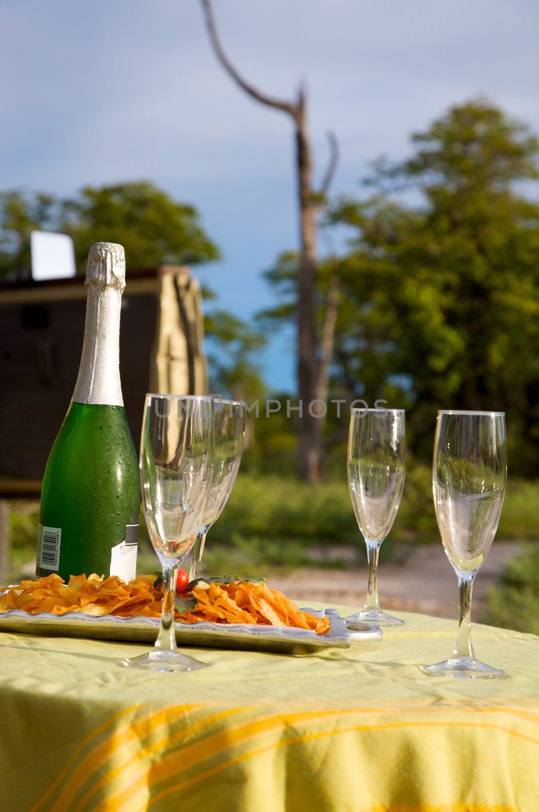 Champagne and a safari game drive in Botswana