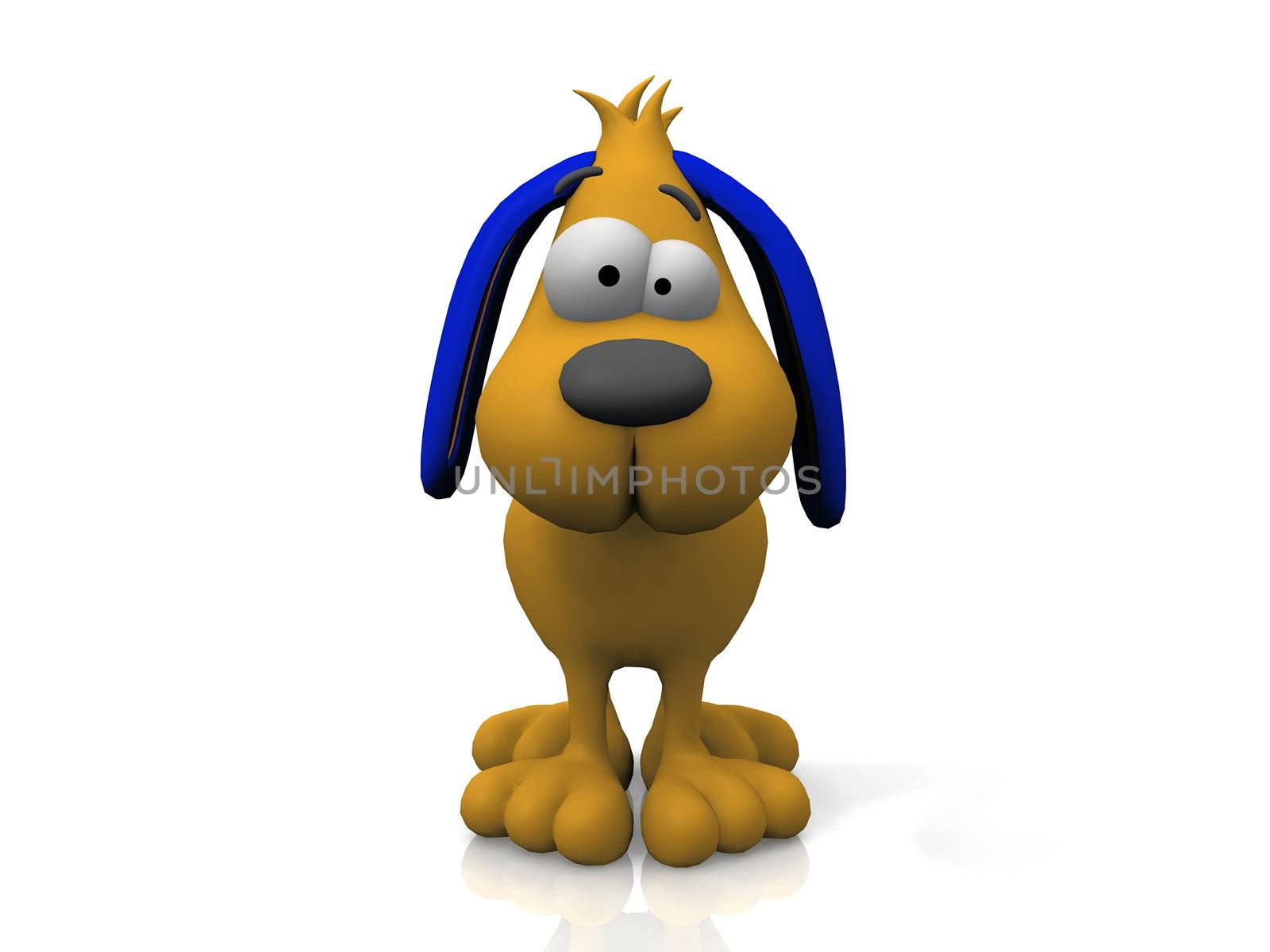 dog on a white background
