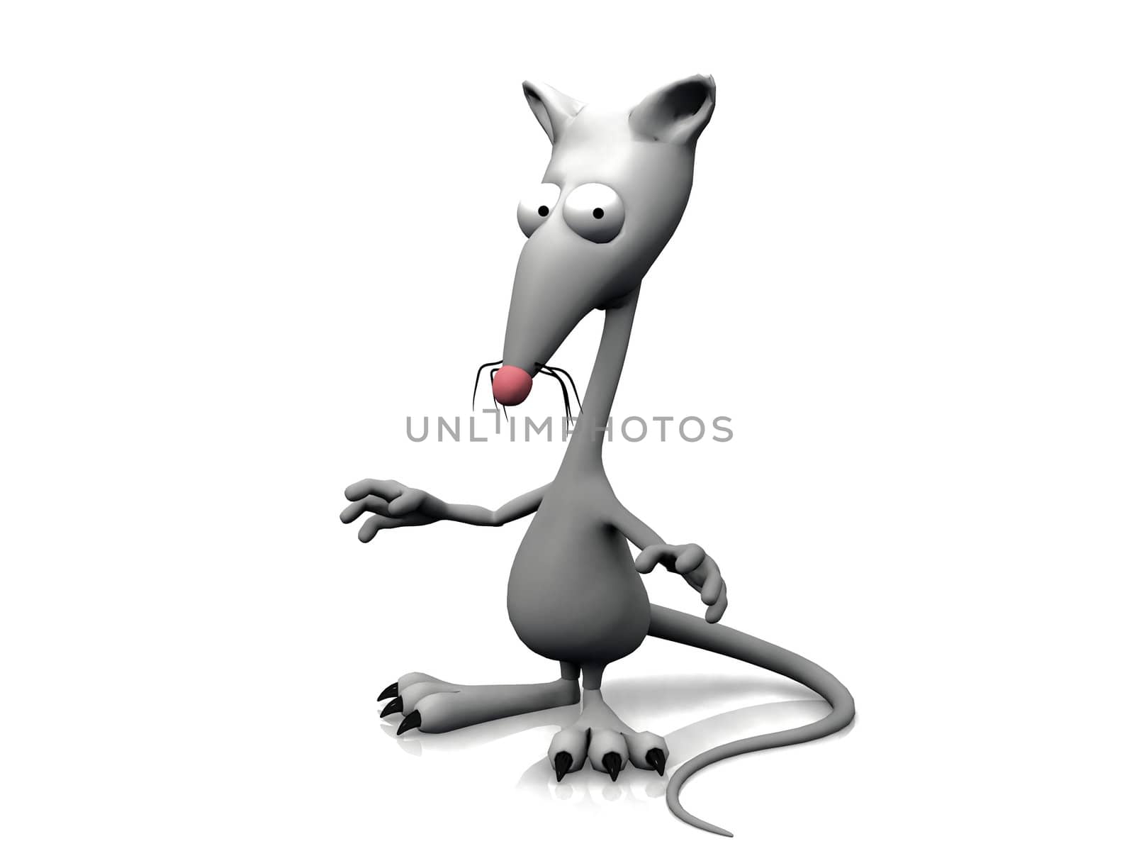 rat on a white background
