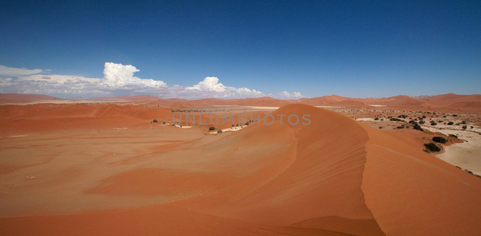 Dune sea of the Namib desert during a hot day
