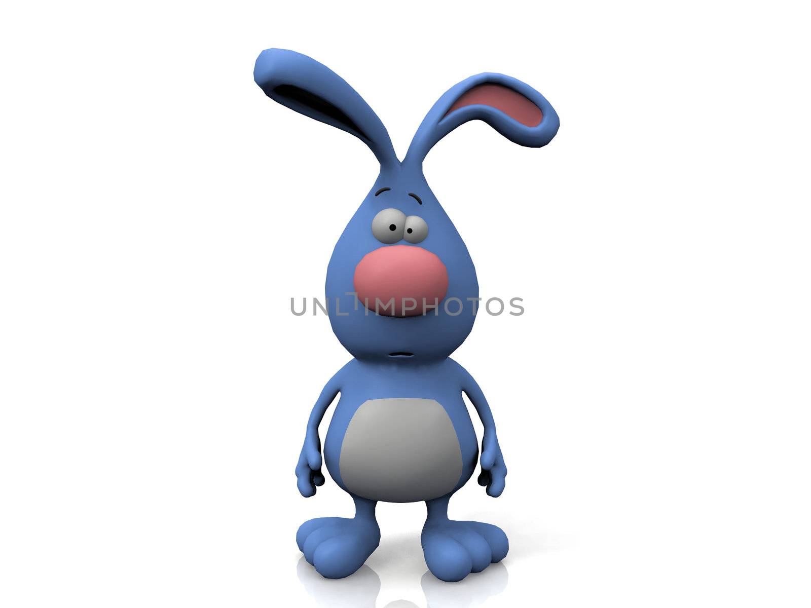 rabbit  on a white background
