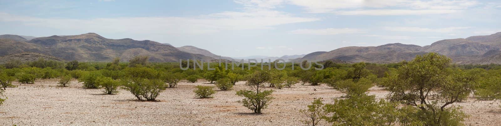 Panorama of the Kaokoland desert by watchtheworld