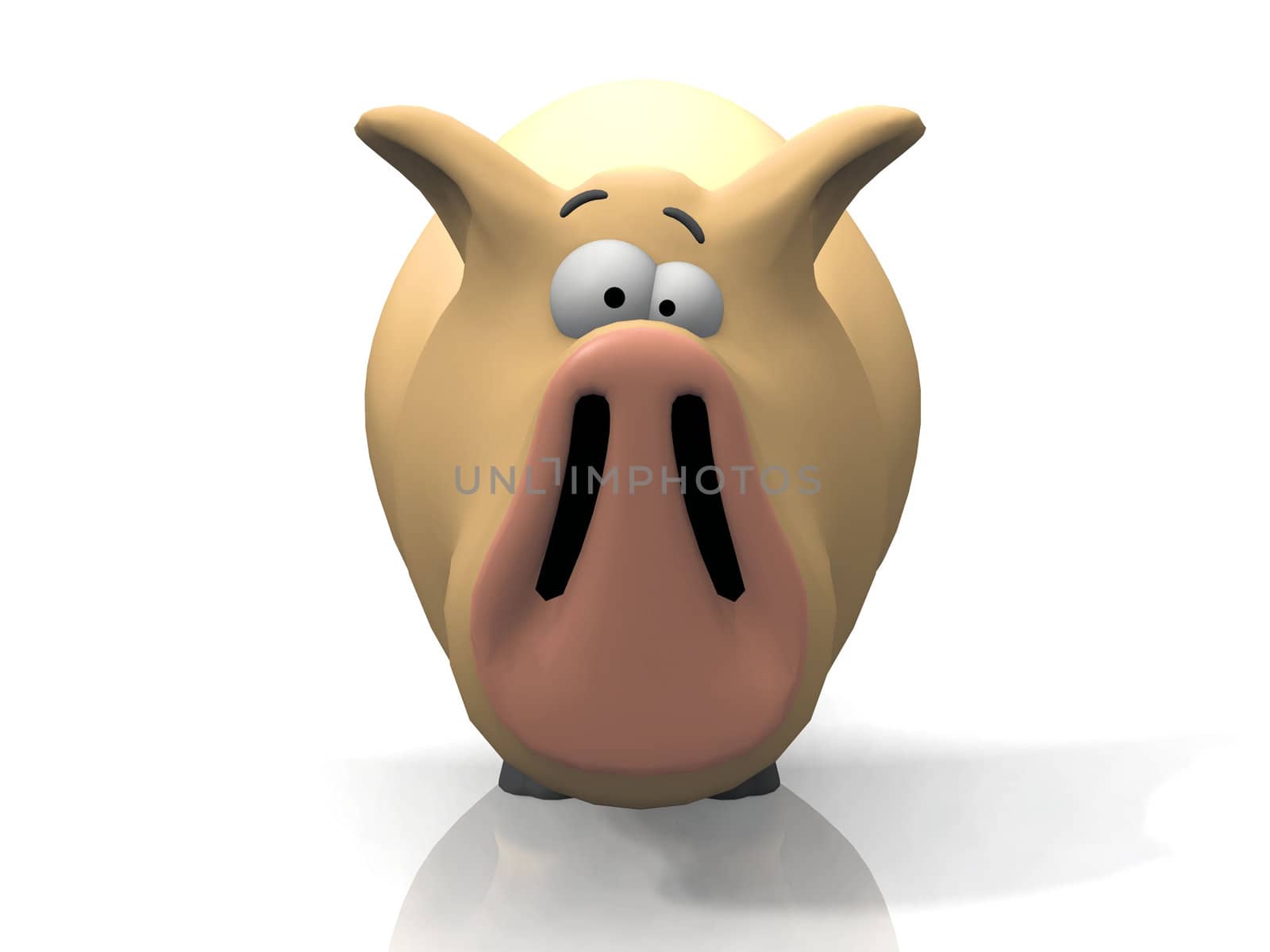 pig on a white background
