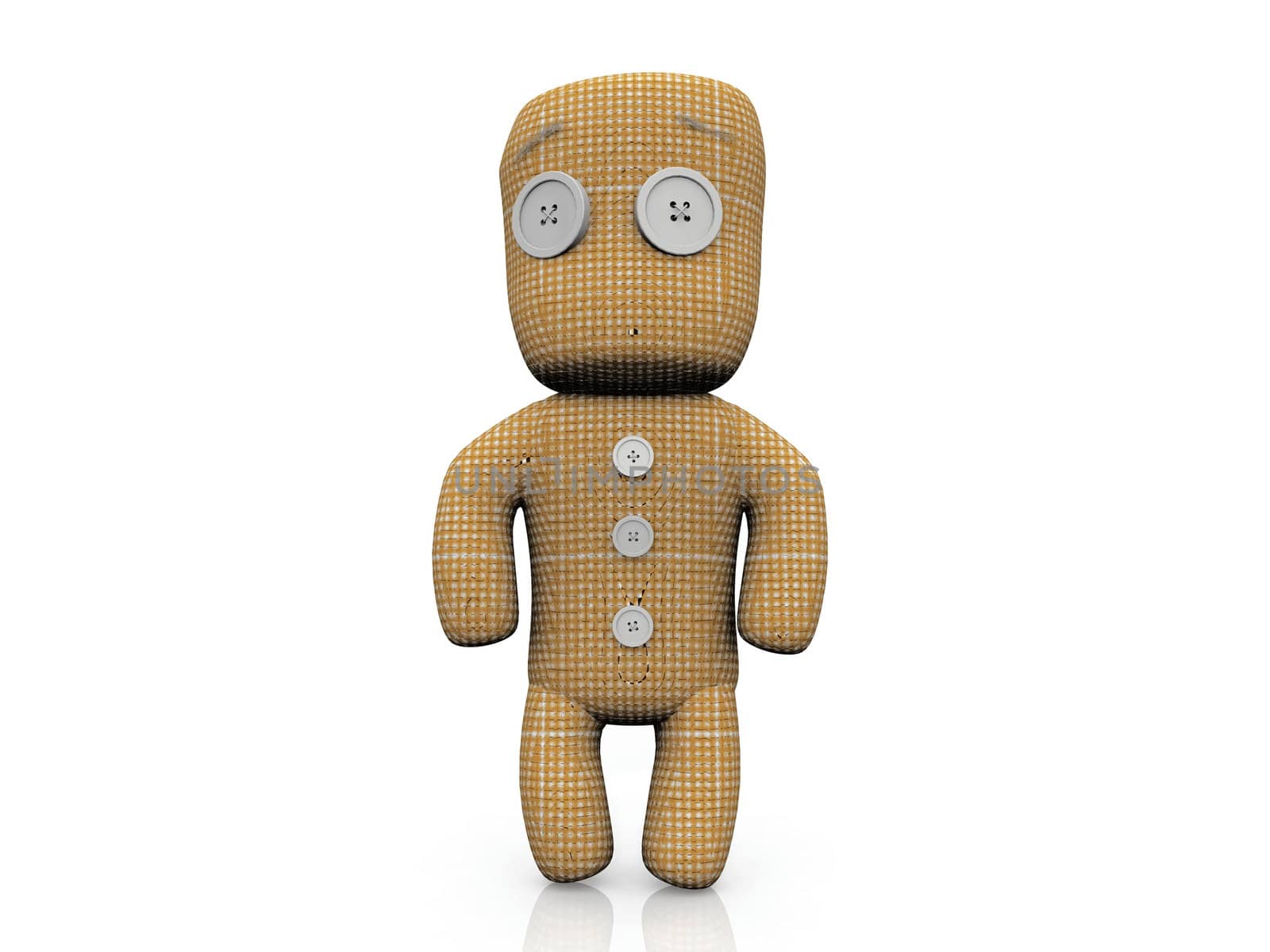 rag doll on a white background