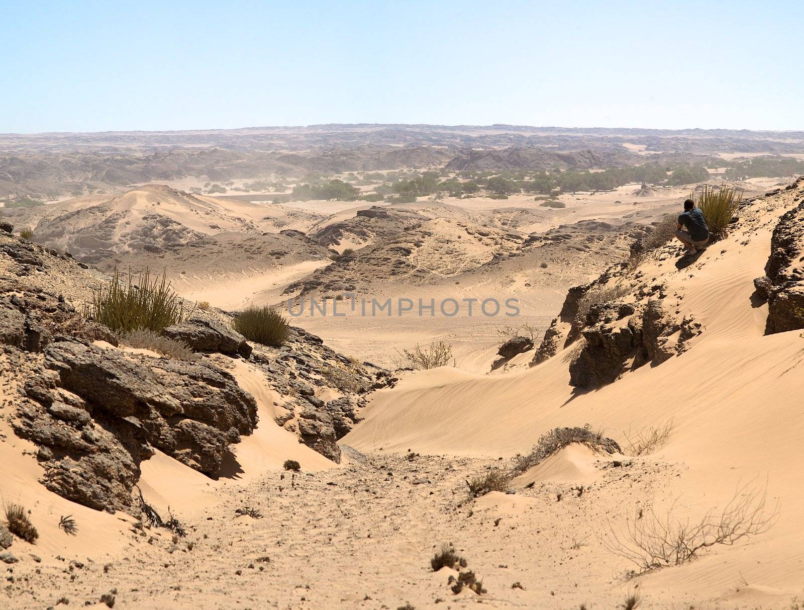 The white sand desert in the Skeleton Coast