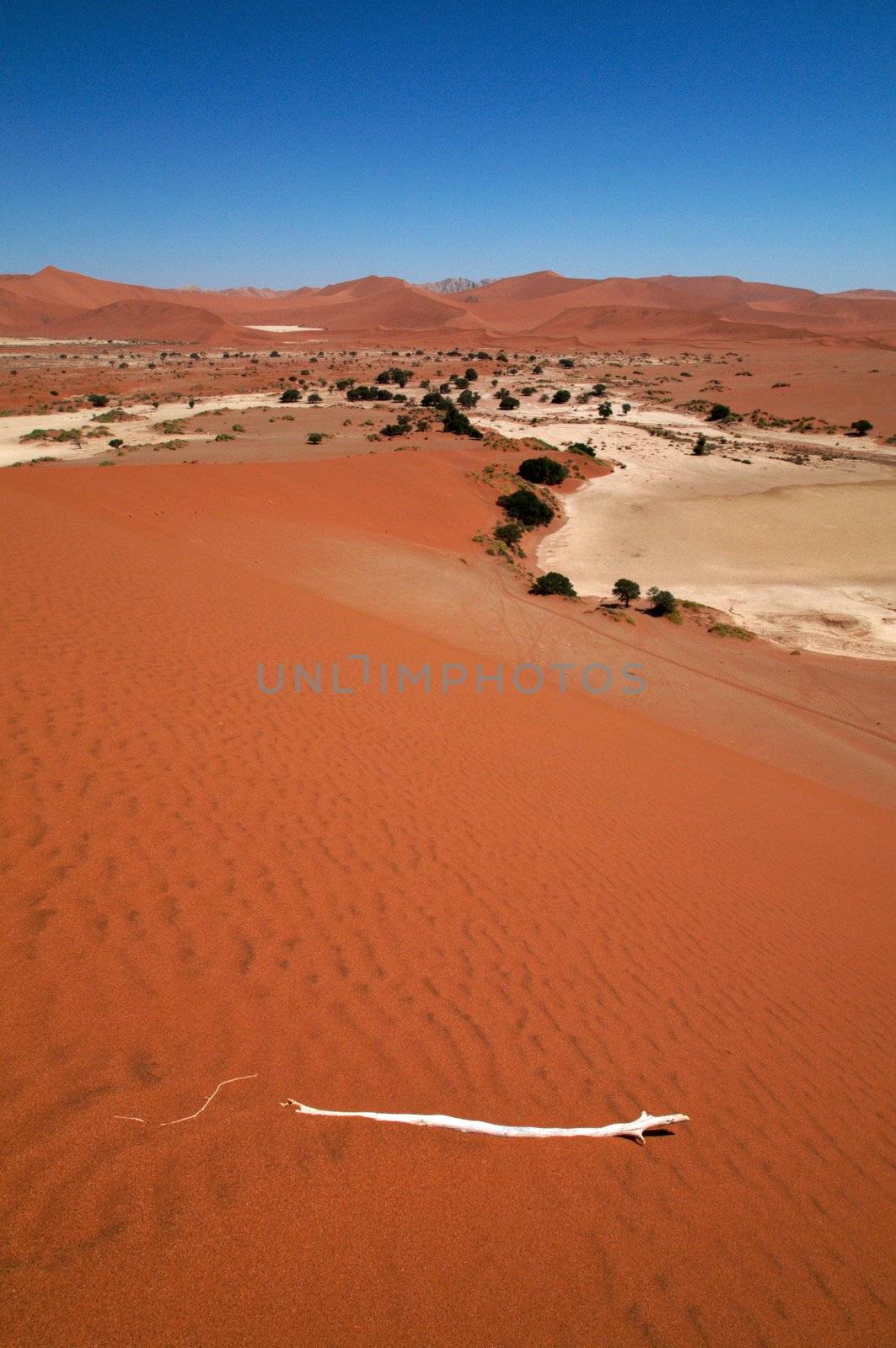 Dune sea of the Namib desert during a hot day
