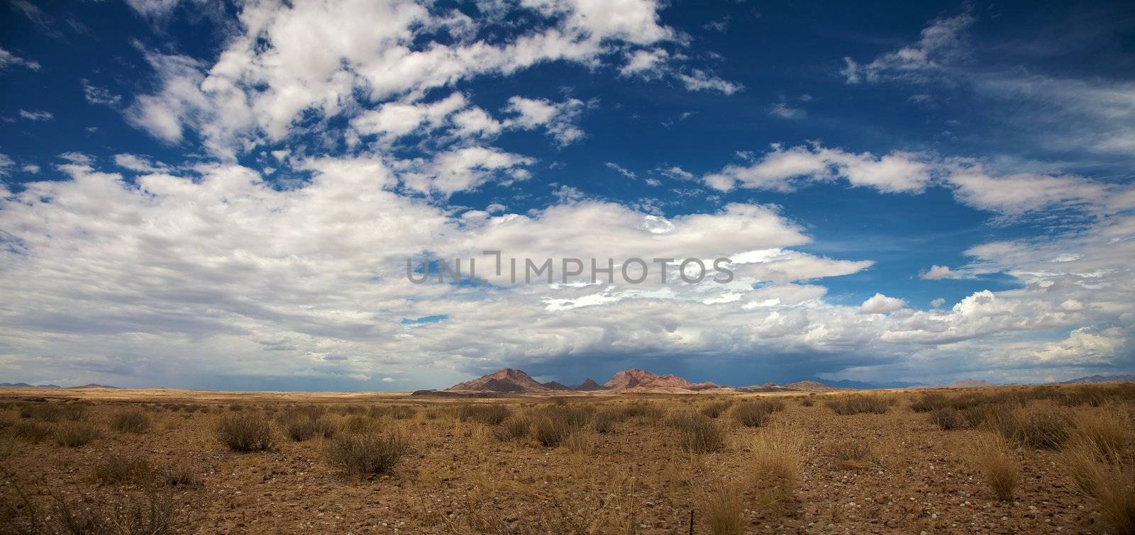 Surreal panorama of the desert of Namib in Namibia