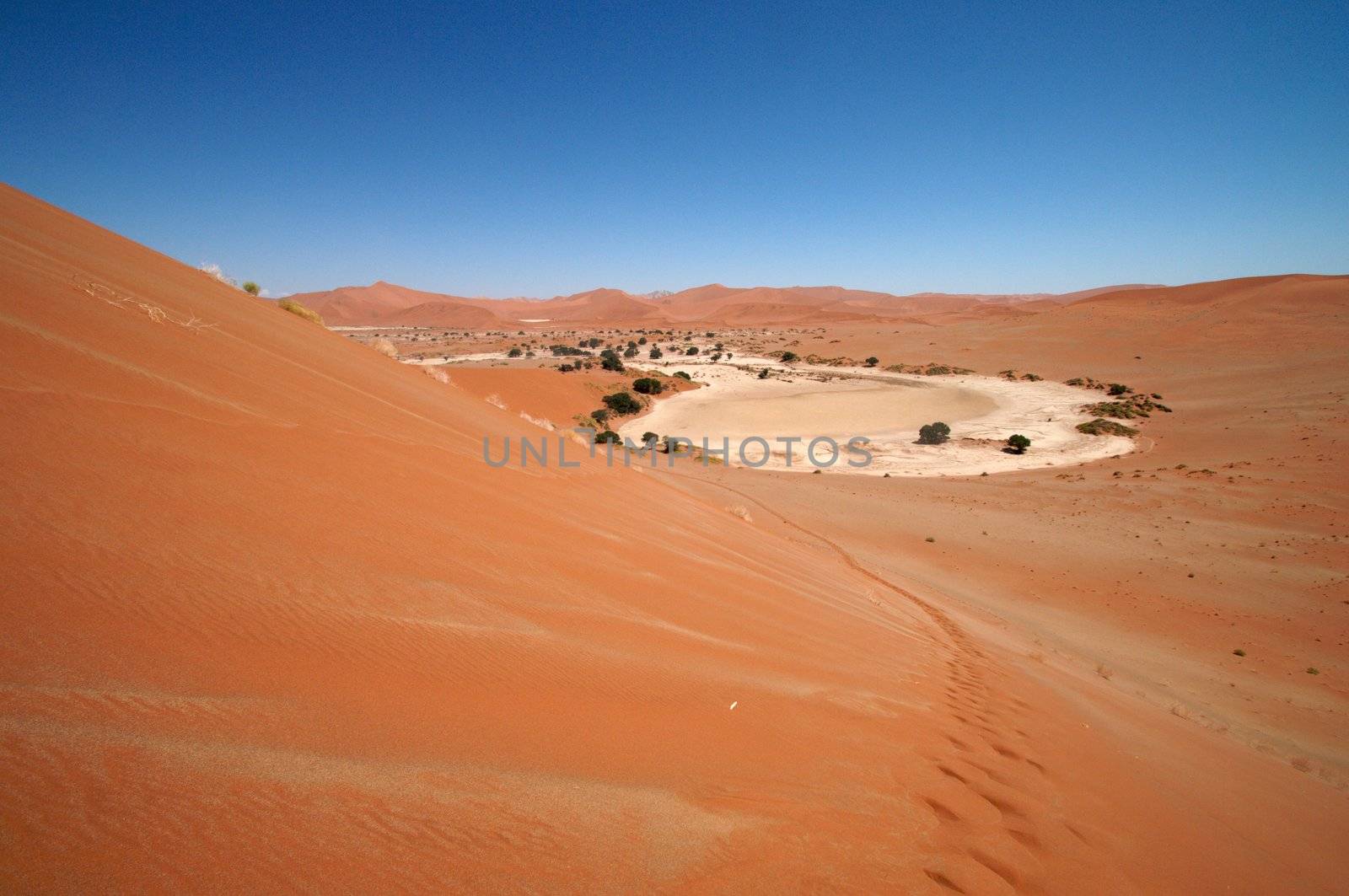 Dune sea of the Namib desert during a hot day
