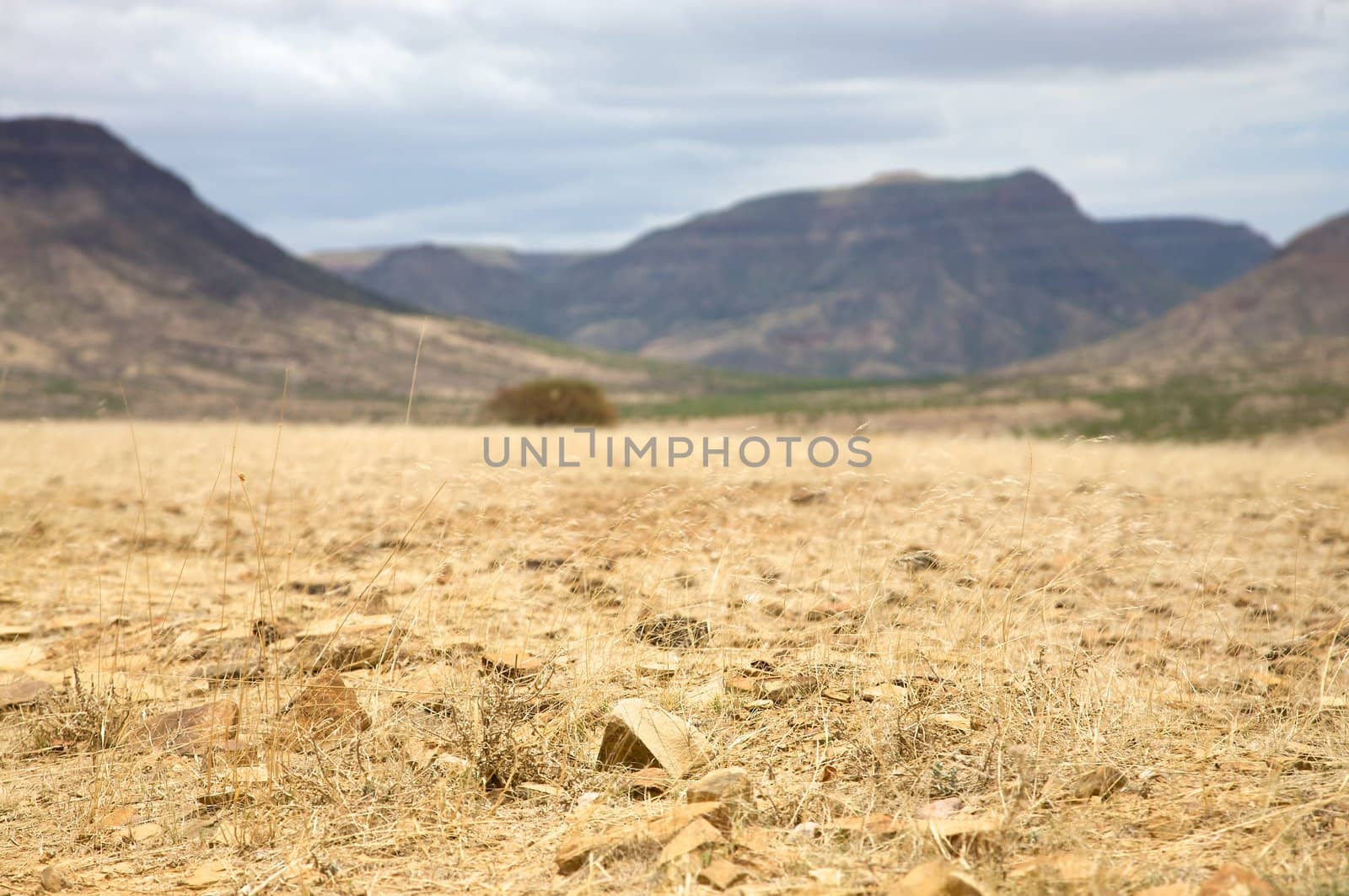 Kaokoland desert in Namibia