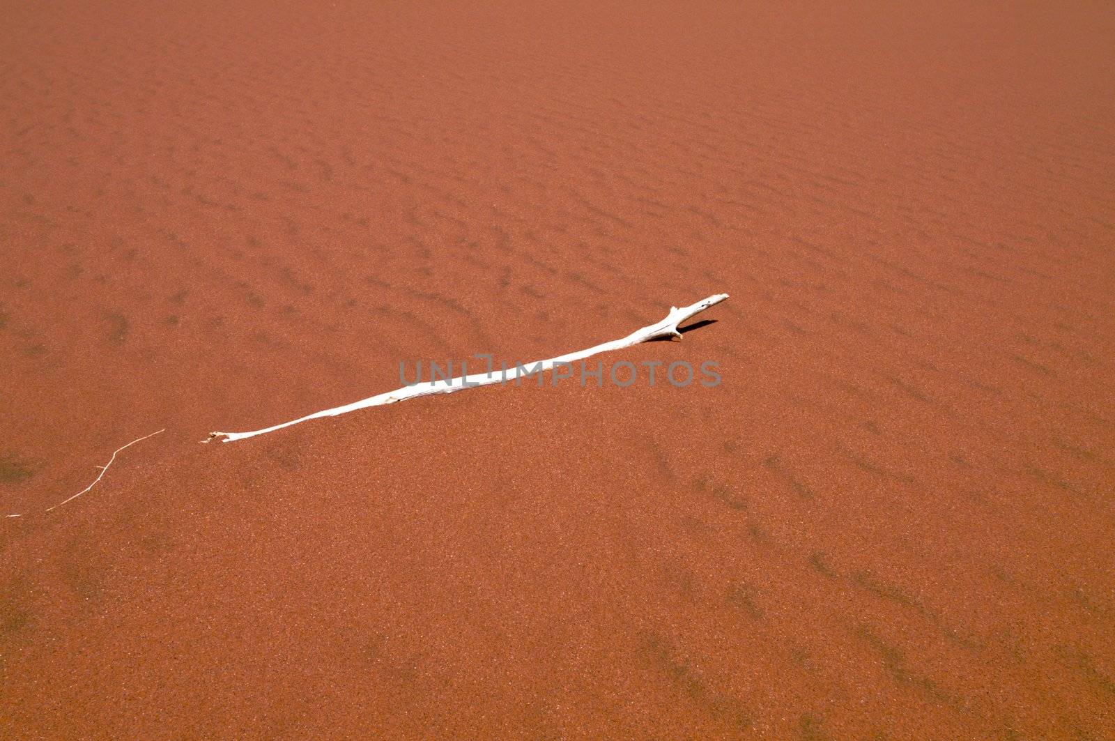 Dune sea of the Namib desert during a hot day
