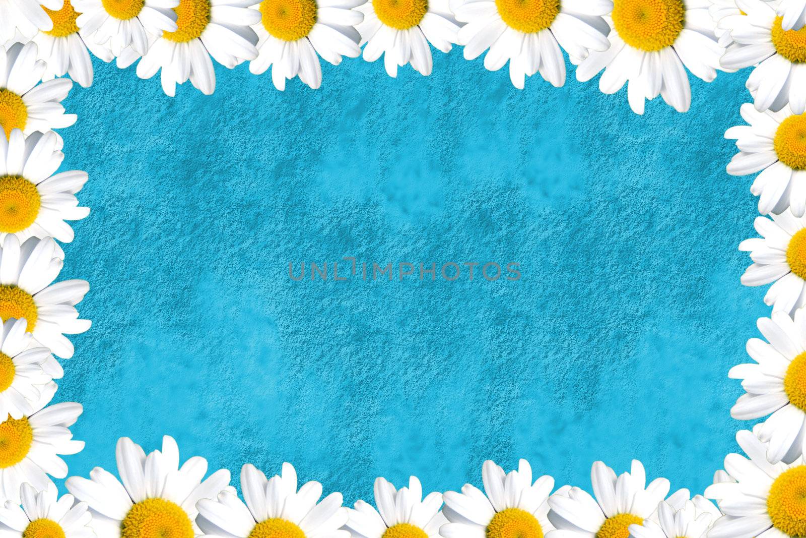 turquoise blue background with a border of daisies 