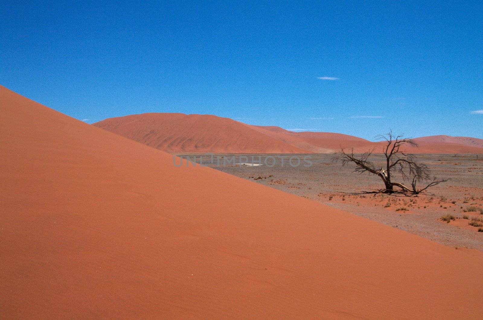 Dune sea of the Namib desert during a hot day
