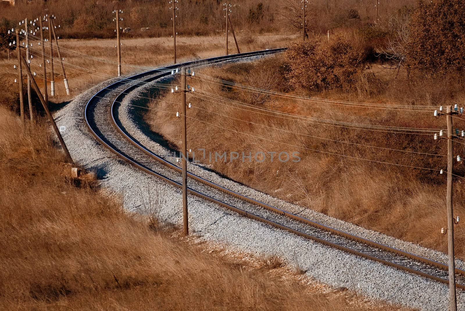 Railroad by Lizard