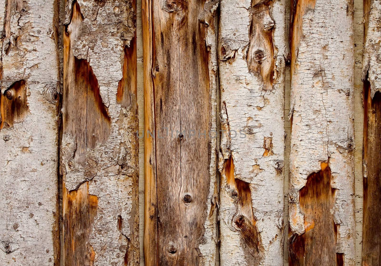 Old wooden garden fence close up - nice texture