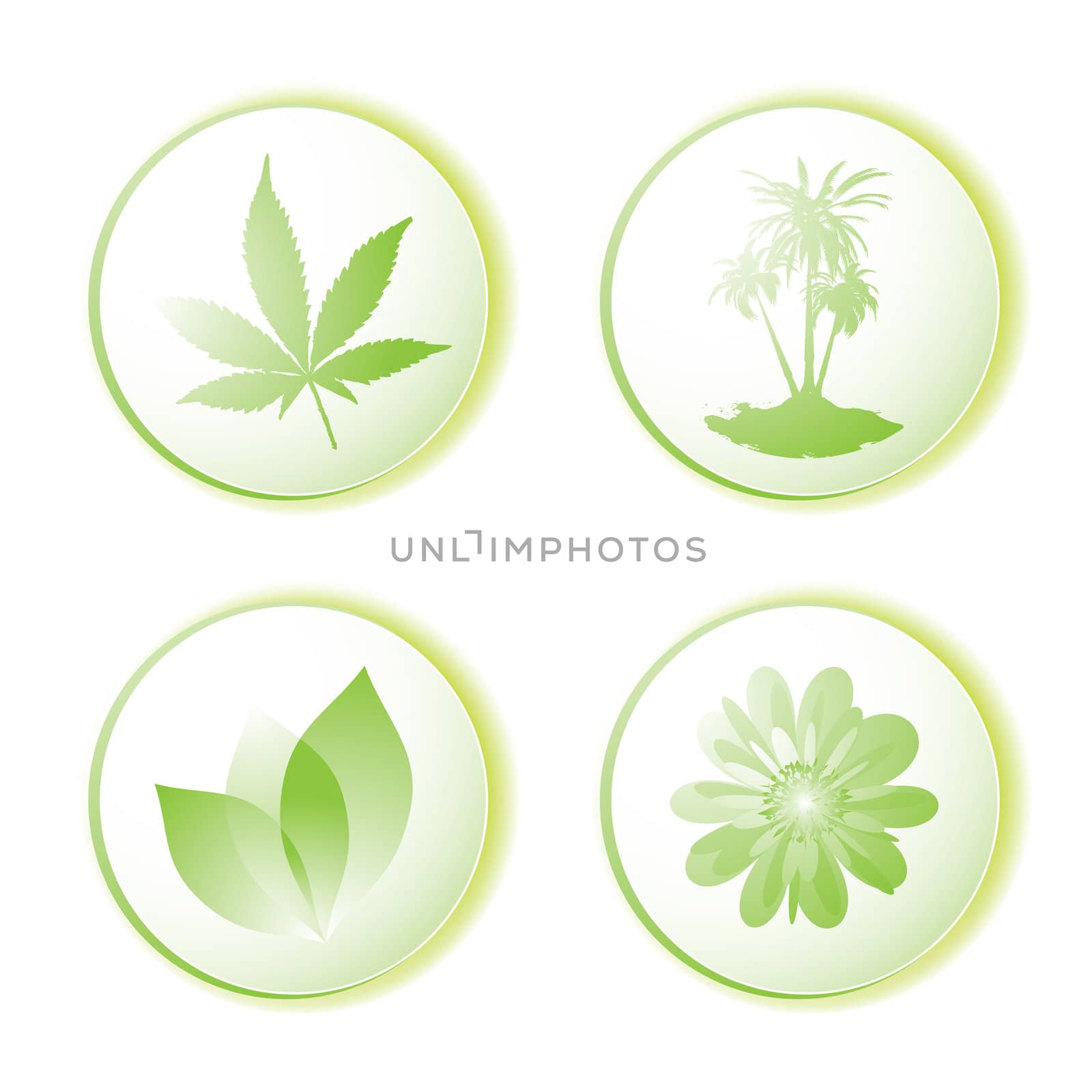 Green or eco icon set with leaf and palm tree illustrated design