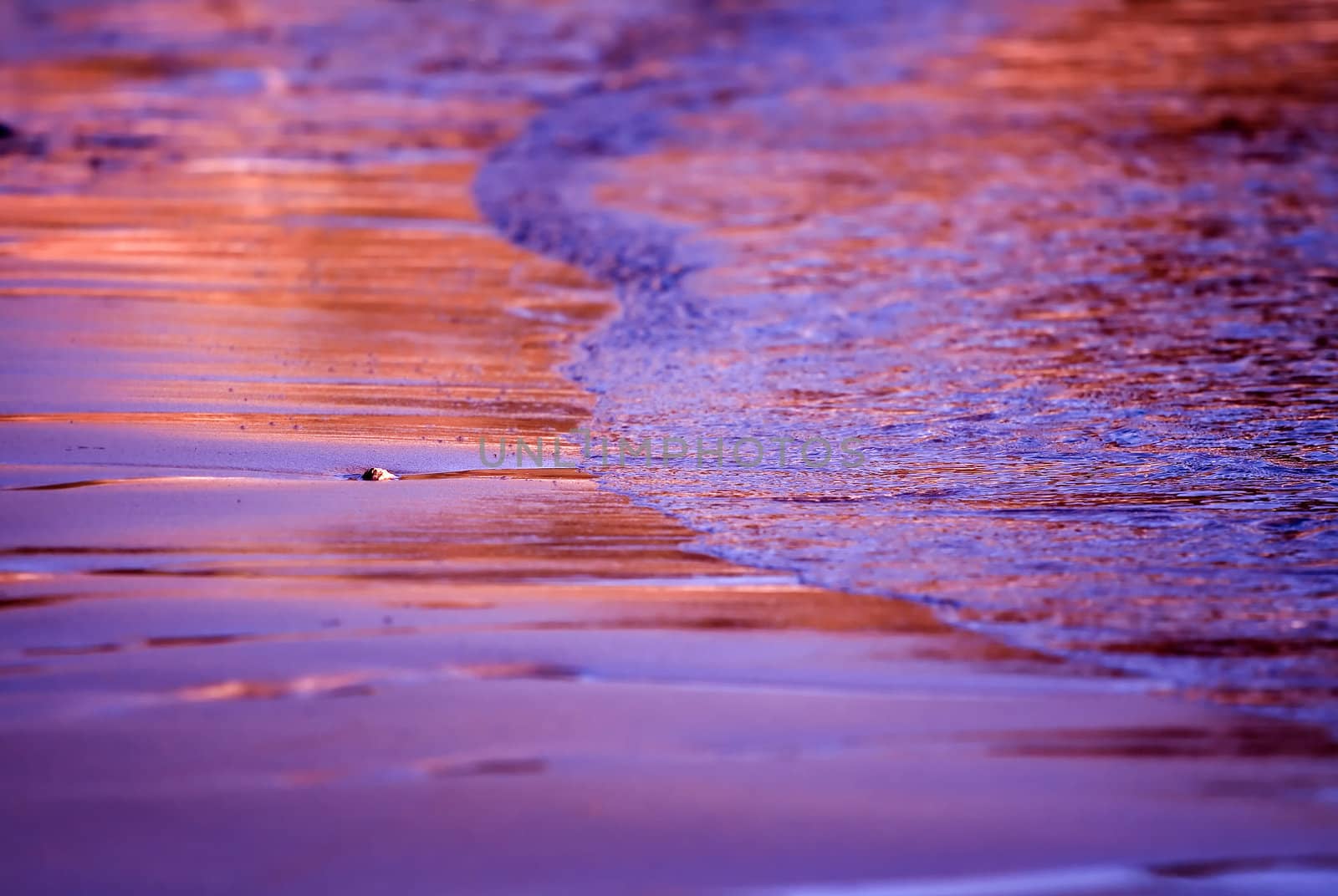 Small wave on a beautiful sand beach at sunset time