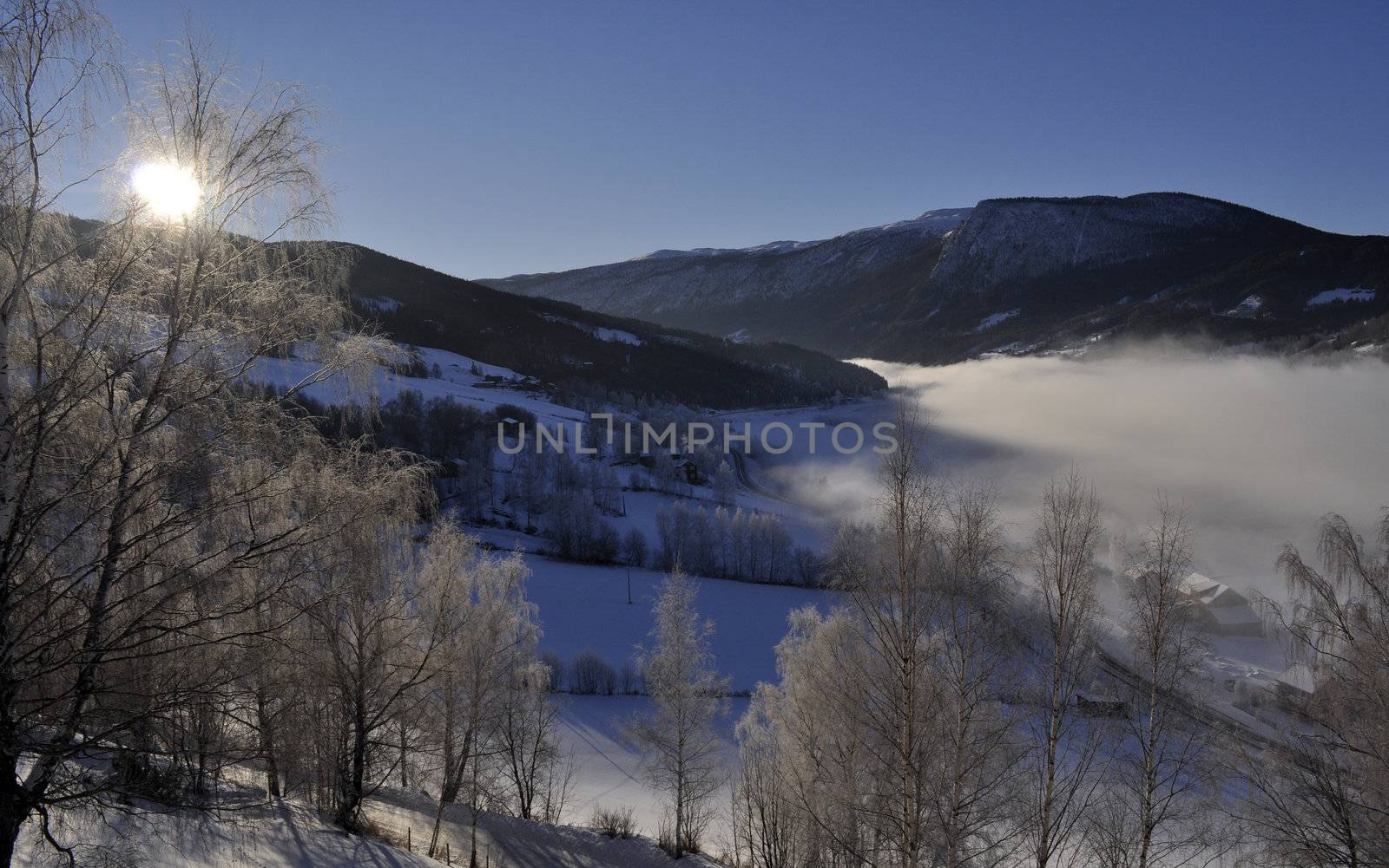 winterlandscape in the morningsun by kalleballes