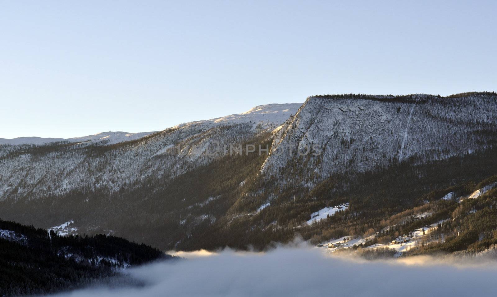 a winterlandscape in sunshine