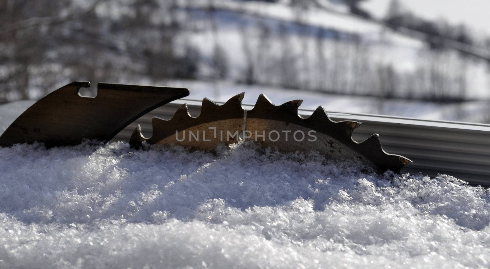 a saw blade in the snow