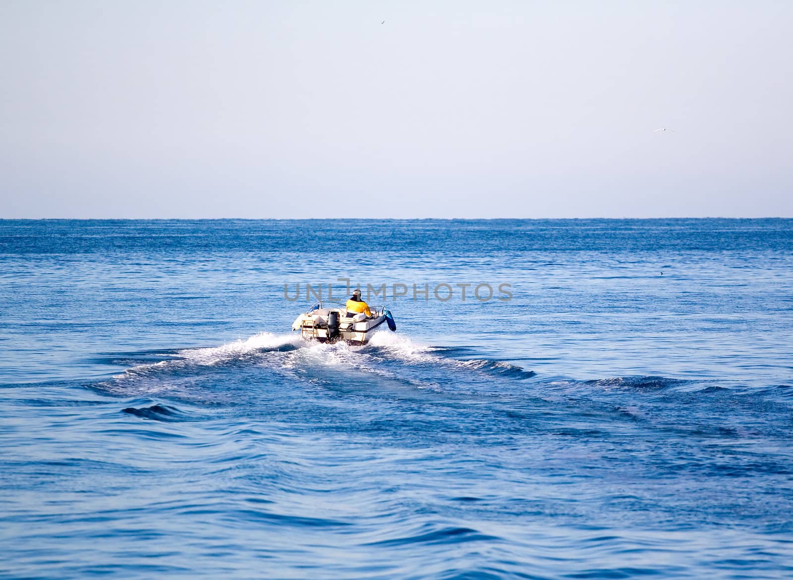 Man in the motor boat speeding 