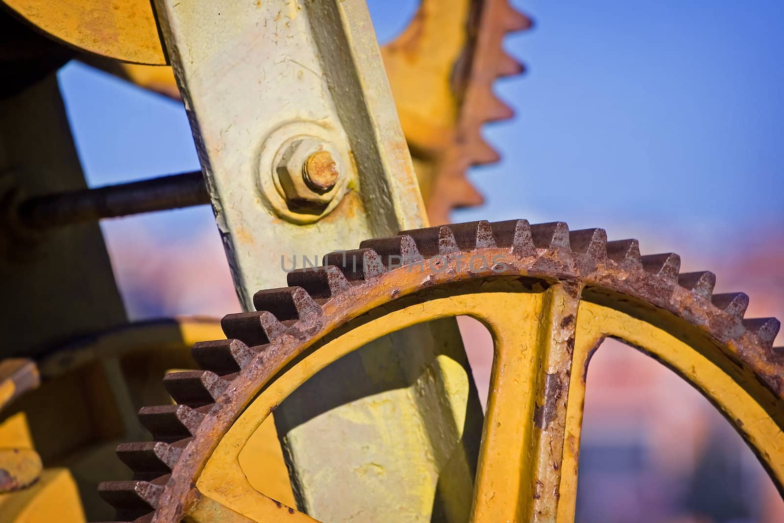 Wheel by Lizard