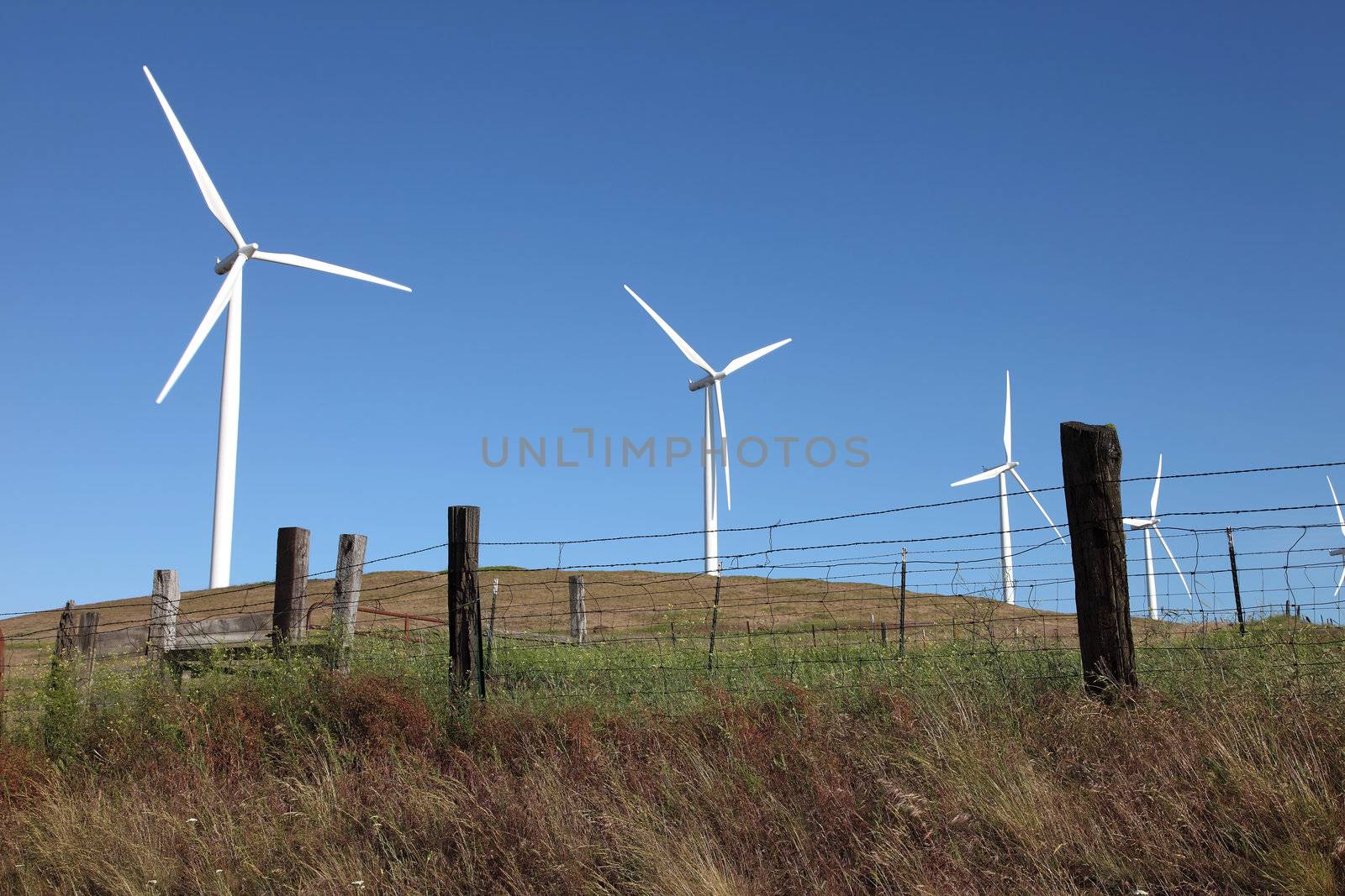 Wind turbines on a hill in rural Washington state.