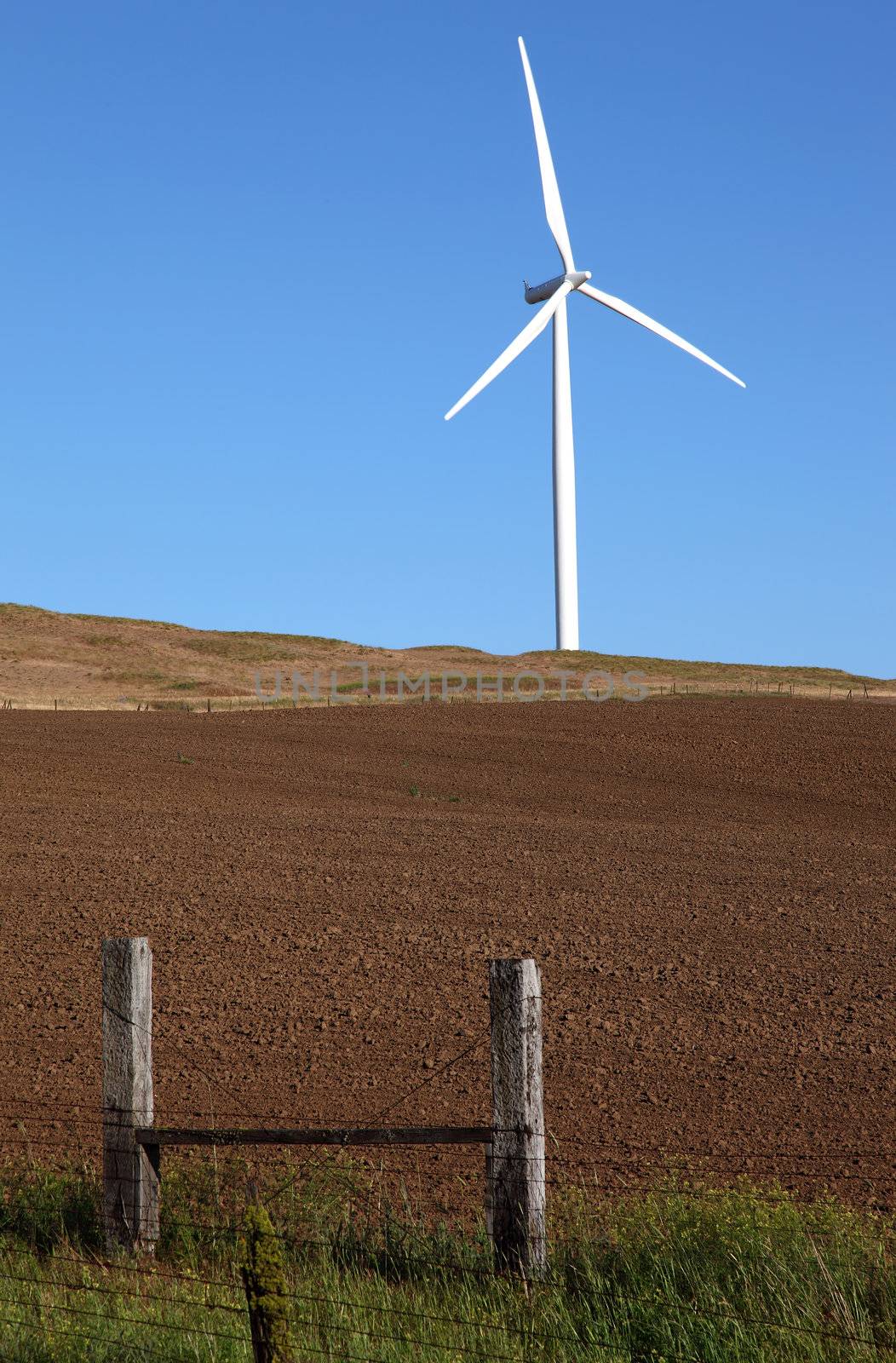 Wind turbines on a hill in rural Washington state.
