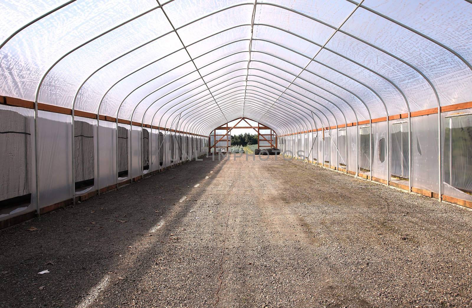 Large empty greenhouse ready for seedlings storage and acclimatization, Oregon.