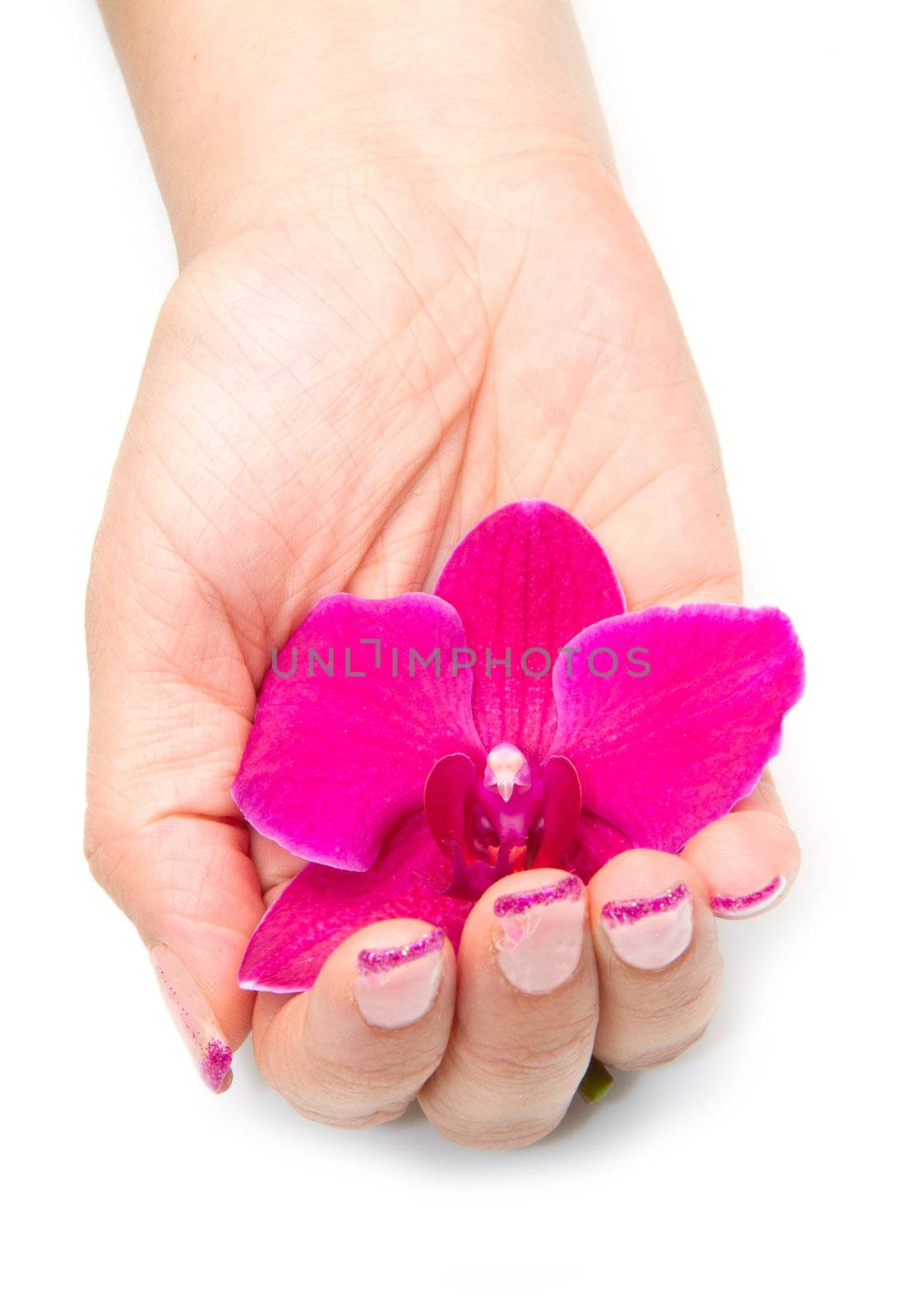 Beautiful hand with perfect nail french manicure and purple orchid flowers